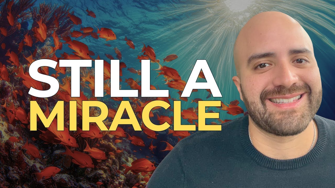 Your Ordinary Life is a Miracle