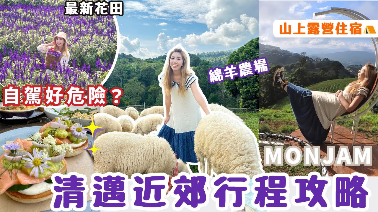 清邁近郊攻略🚗 2天1夜蒙占山上露營⛺️ 打卡沿途熱爆景點 | 🪻最新藍色花海🐏人氣綿羊農場| 網紅餐廳 Fleur Cafe| 山路危險嗎❓自駕包車Tips‼️
