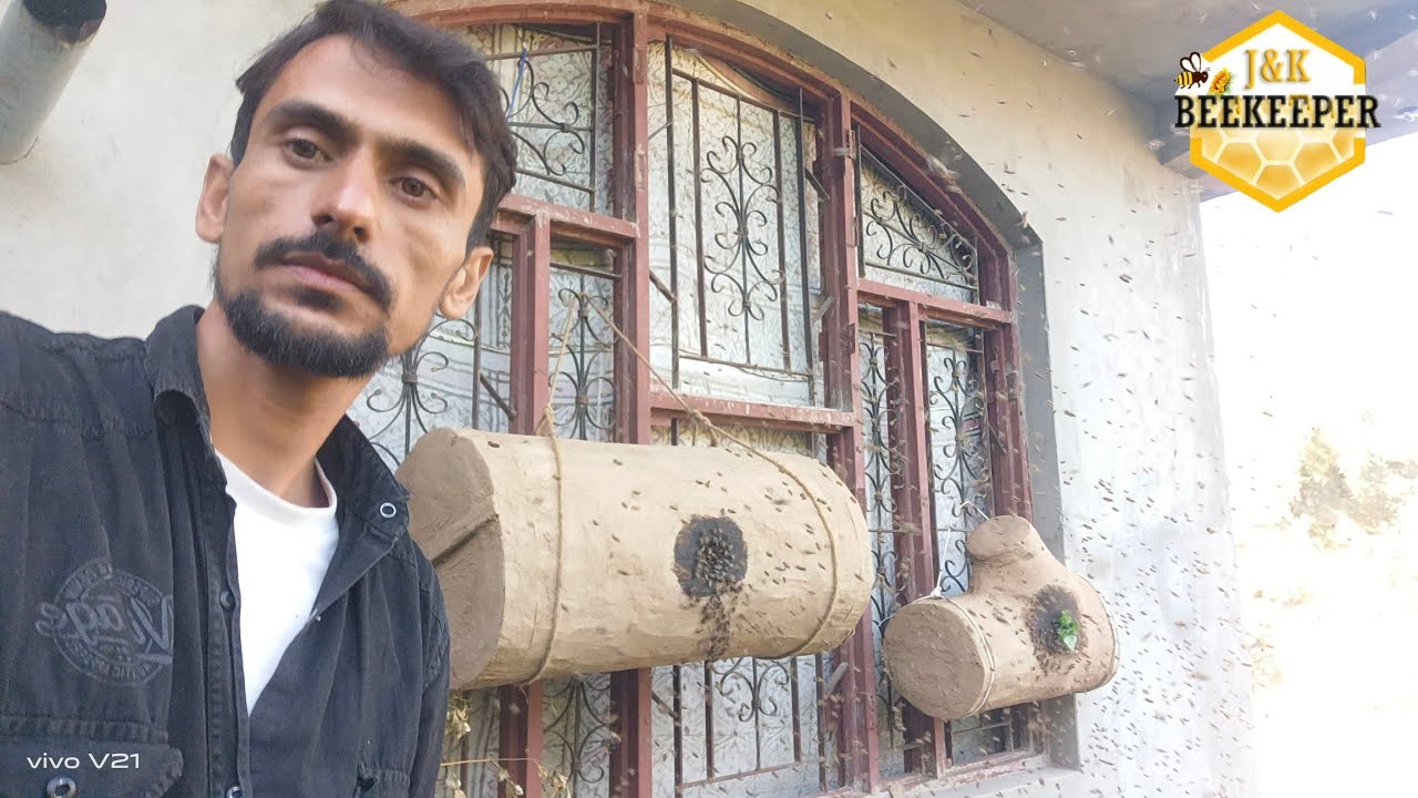 Swarm Trap New Ideas 2024 | Beekeeping At Home | Beekeeping Ideas
