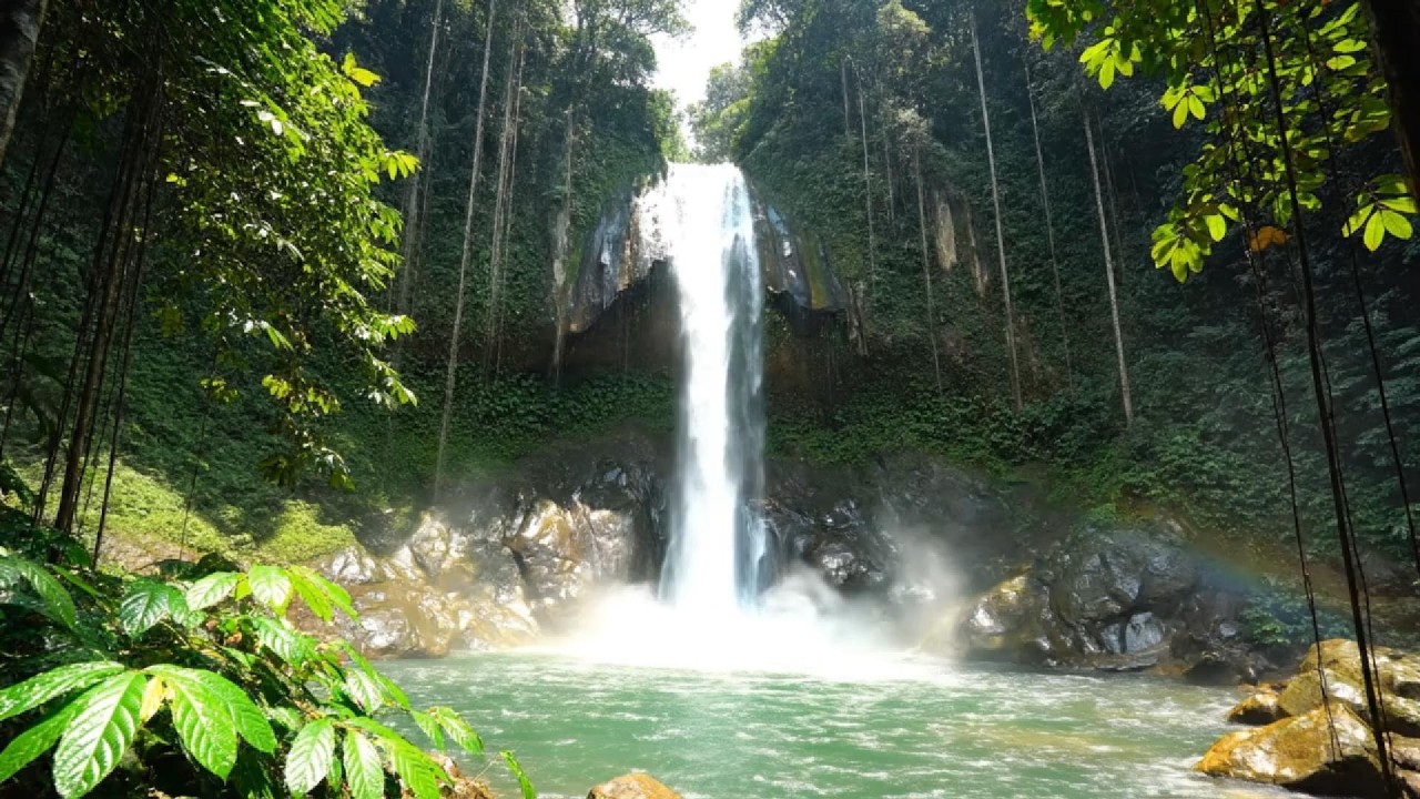 Pink Noise Waterfall Sounds 3 Hours 🌊 Powerful Noise Blocking for Focus & Studying
