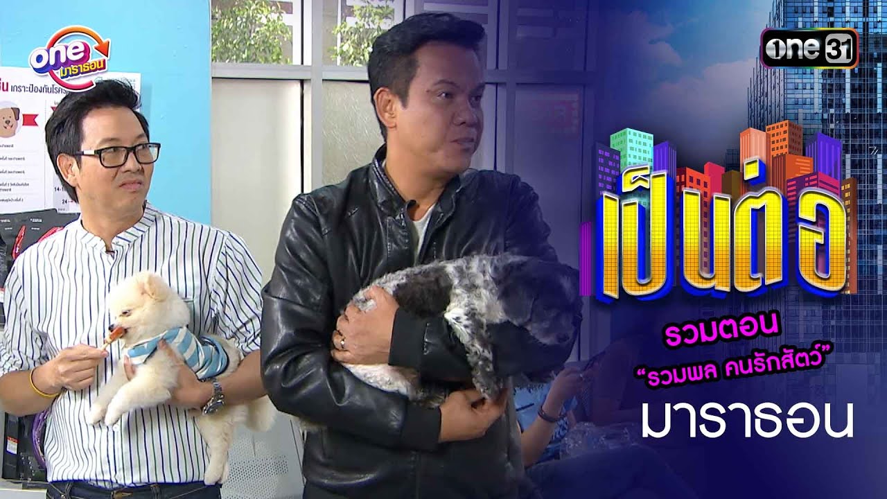 รวมตอน “รวมพล คนรักสัตว์”  | oneมาราธอน special | one31