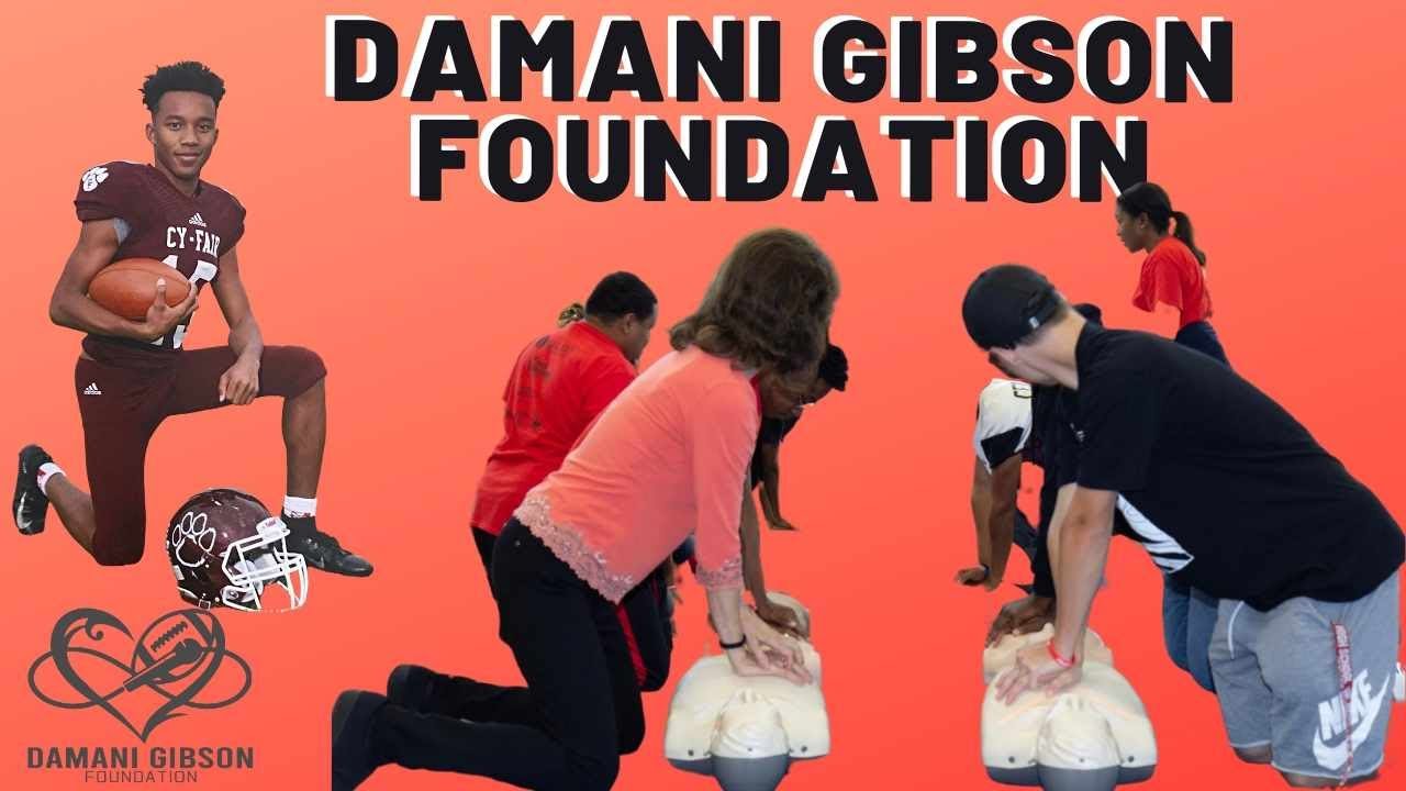 Damani Gibson Foundation