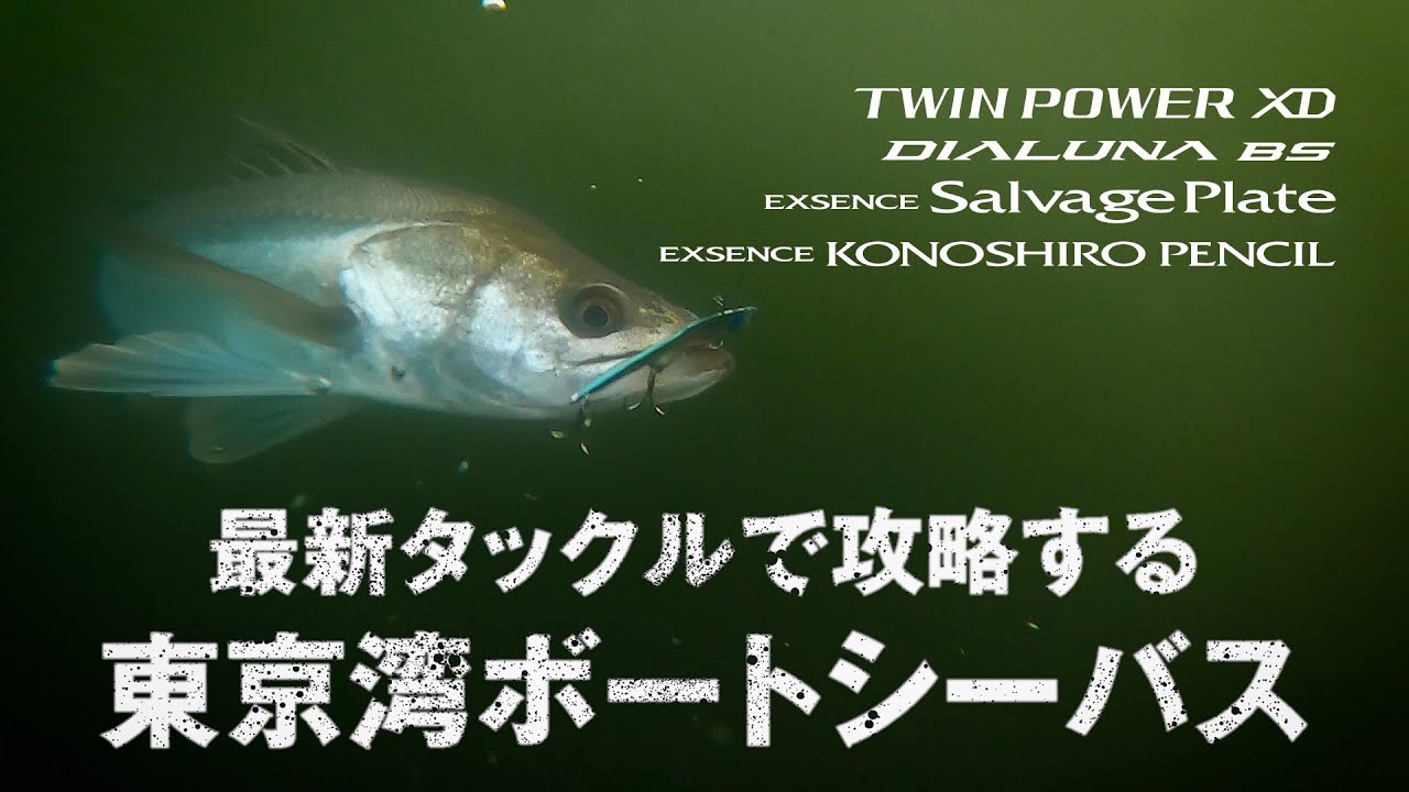 【鈴木斉＆家田成大】最新タックルで攻略するコノシロパターンの東京湾ボートシーバス！ディアルーナＢＳ/21ツインパワーＸＤ