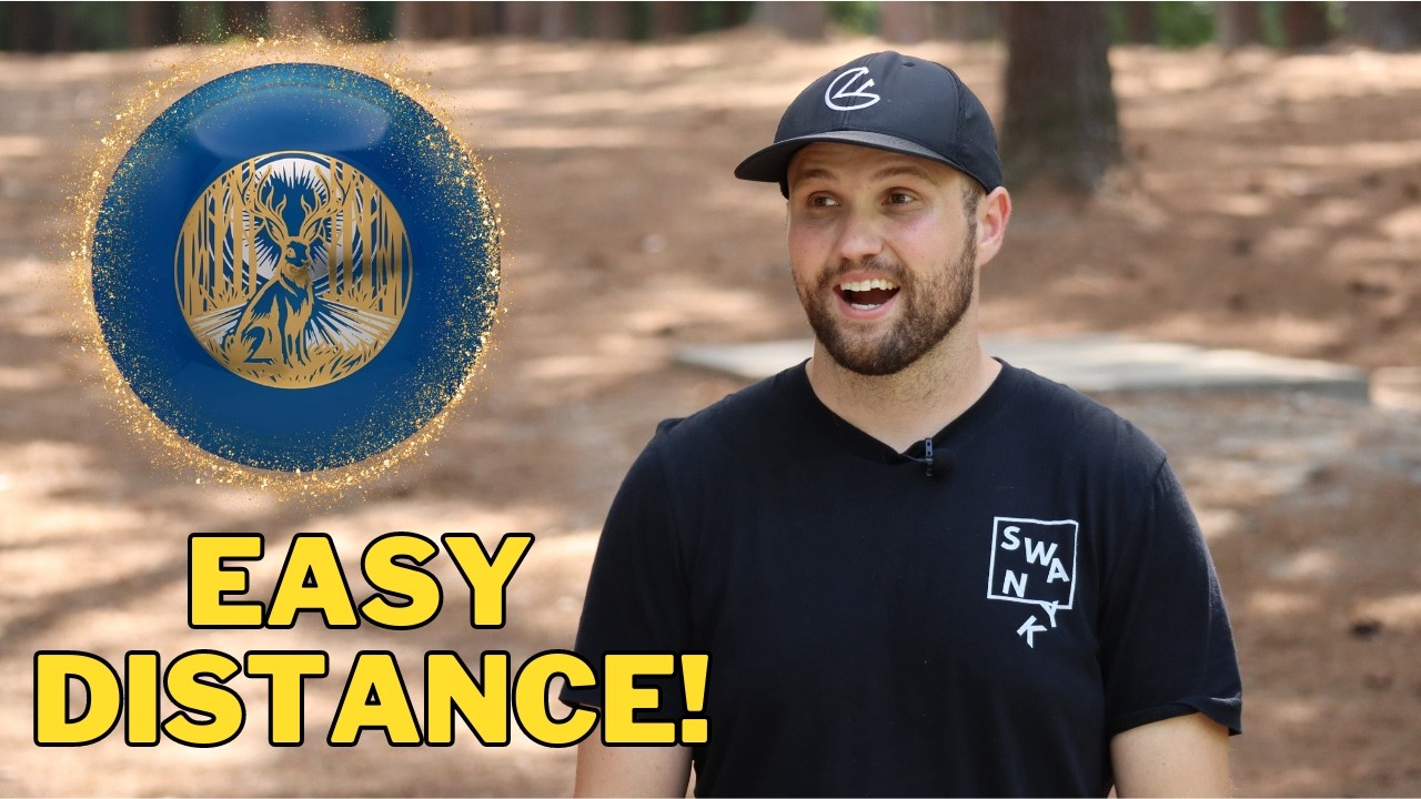 Top 8 Underrated Discs for Beginners!