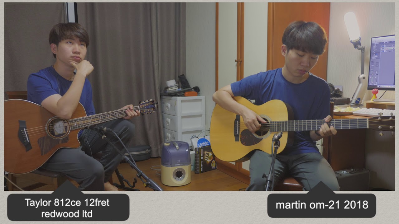 기타계의 BMW vs 벤츠.. 마틴 vs 테일러 비교 // Martin Om-21 vs Taylor 812ce 12fret