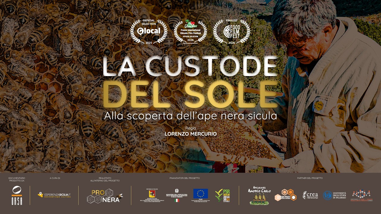 LA CUSTODE DEL SOLE. Alla scoperta dell'ape nera sicula | EsperienzaSicilia.it