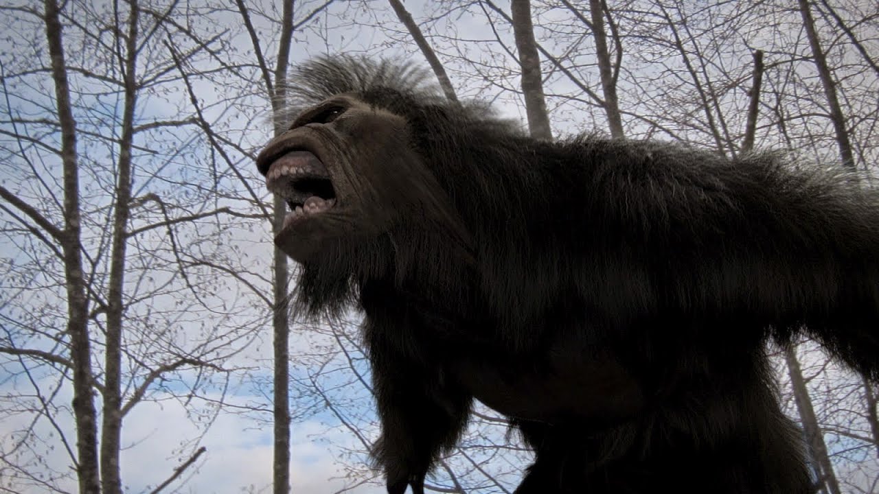Three Loud Wood Knocks!  Bigfoot in the Everglades?