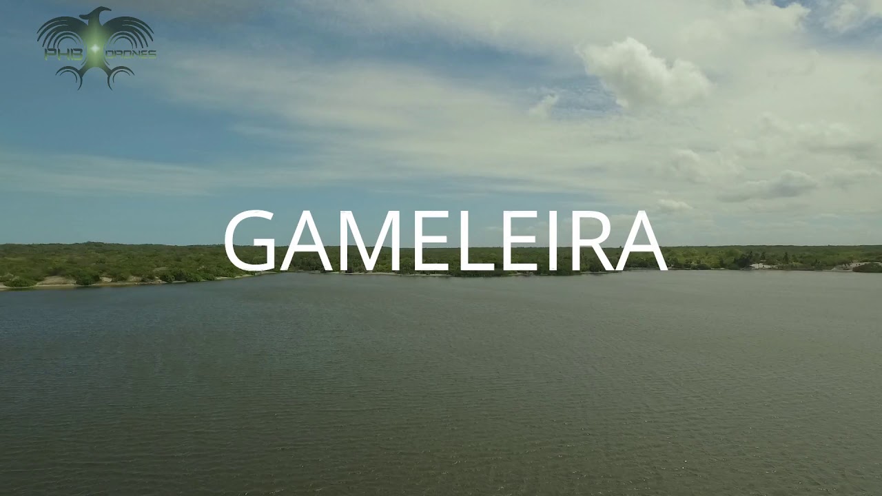 PARNAÍBA PI: A beleza da Gameleira da cidade de Parnaíba