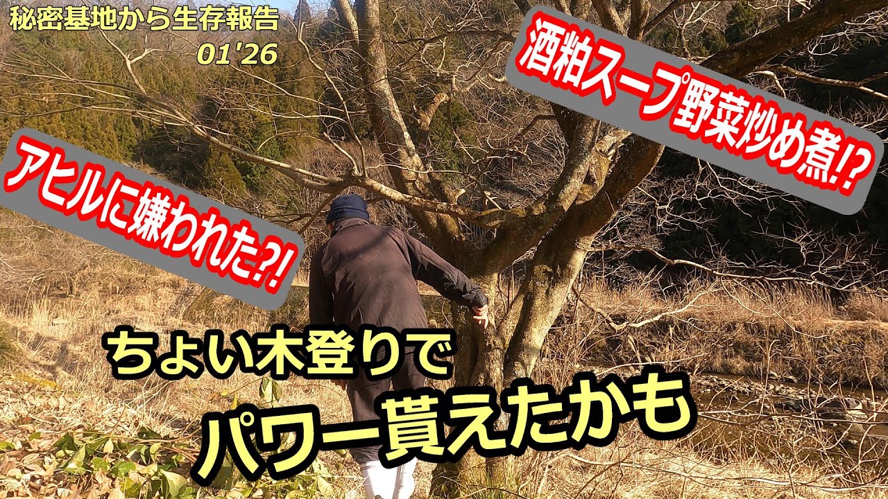 【秘密基地から生存報告】少し投稿遅れの、ポップコーン店2号、ドライブインオアシスに行った時の様子と、ちょっと木登りしてみた画など。
