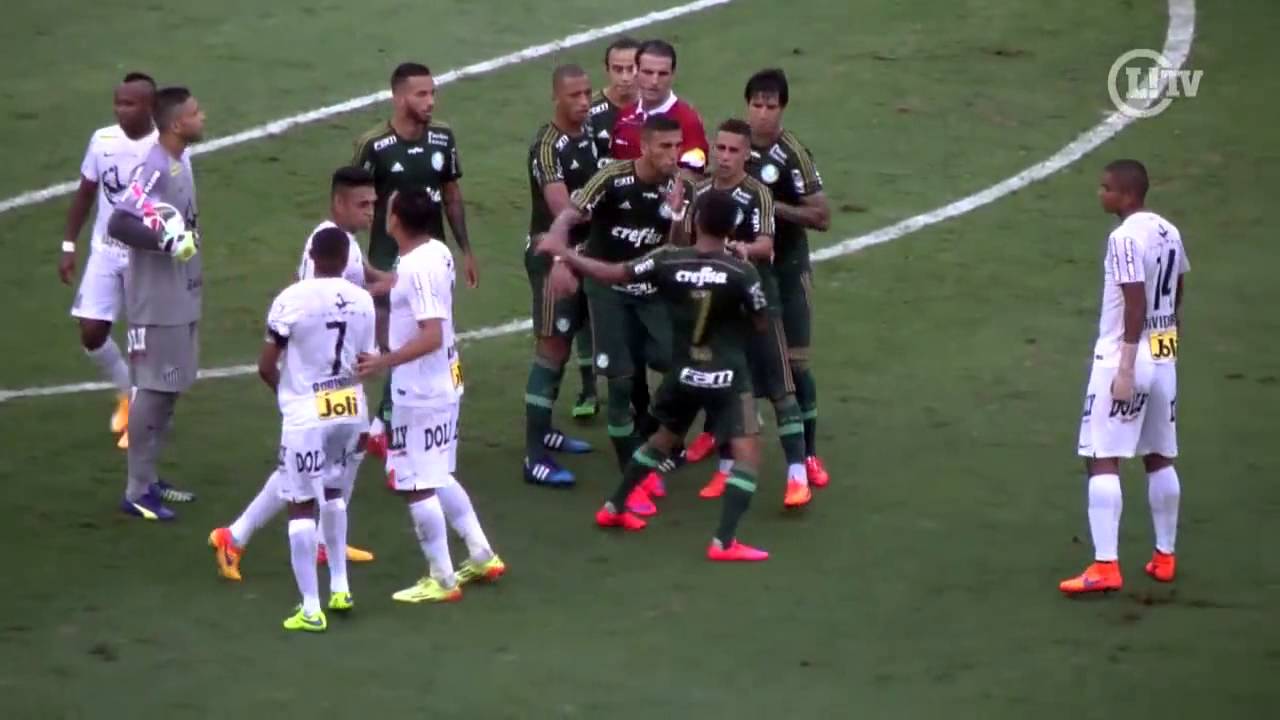 Dudu se descontrola após expulsão e empurra juiz