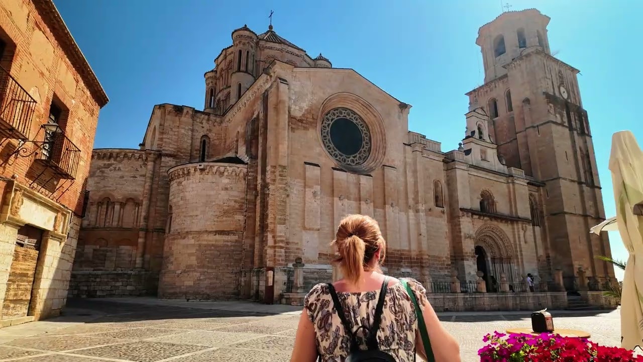 A VISTA DE DRON, TORO (ZAMORA)