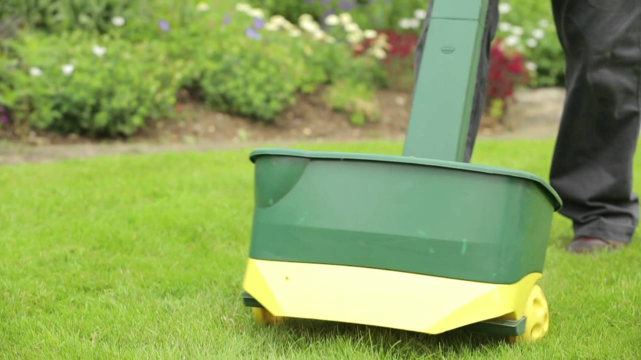 Lawn Sand