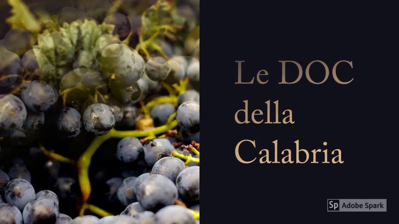 I vini DOC della Calabria