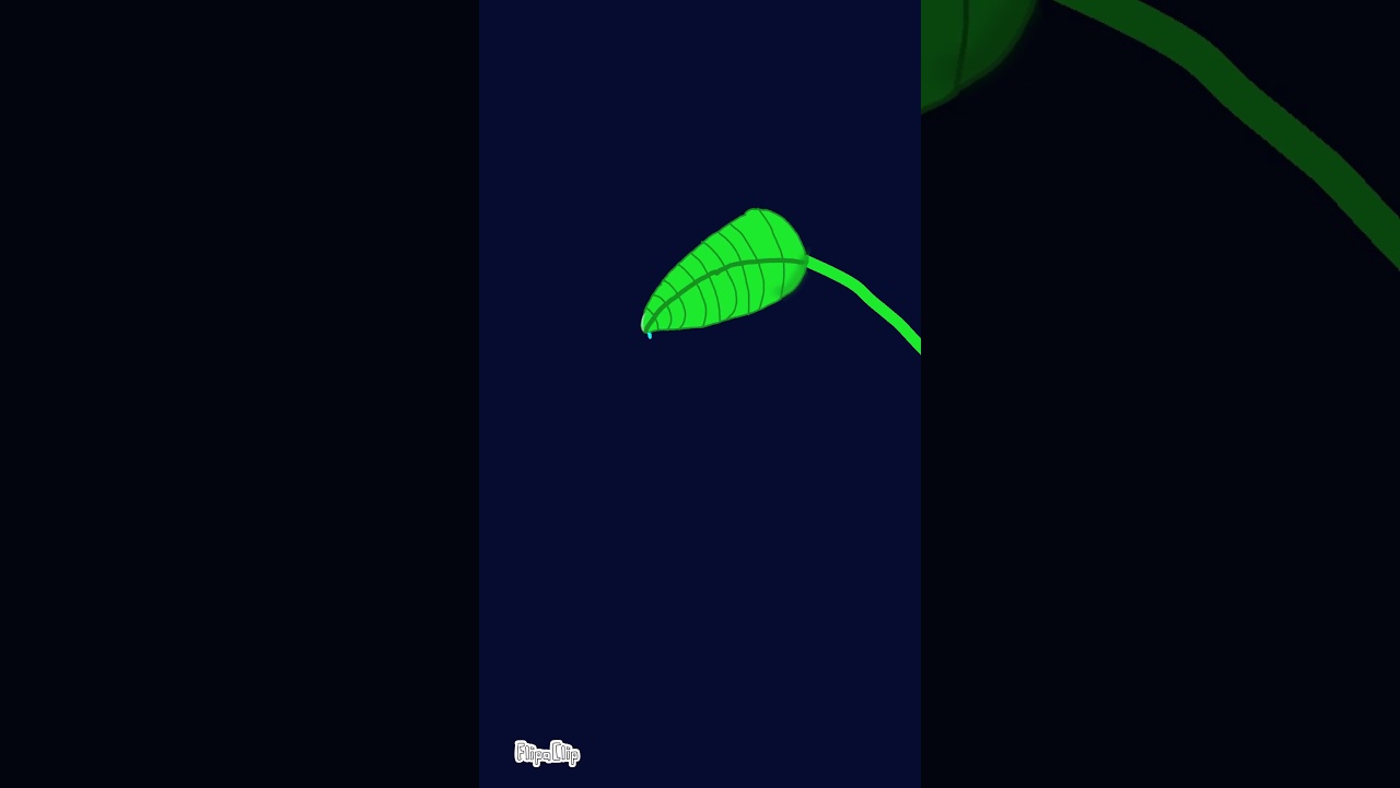 a simple leaf water drop animation