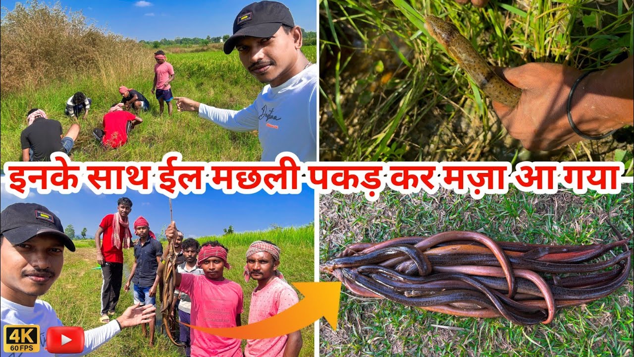 कुचिया (ईल) मछली पकड़ने का ये वीडियो सिर्फ आपके लिए है🎣 ज़रूर देखें 🙏| Best Eel Fishing |