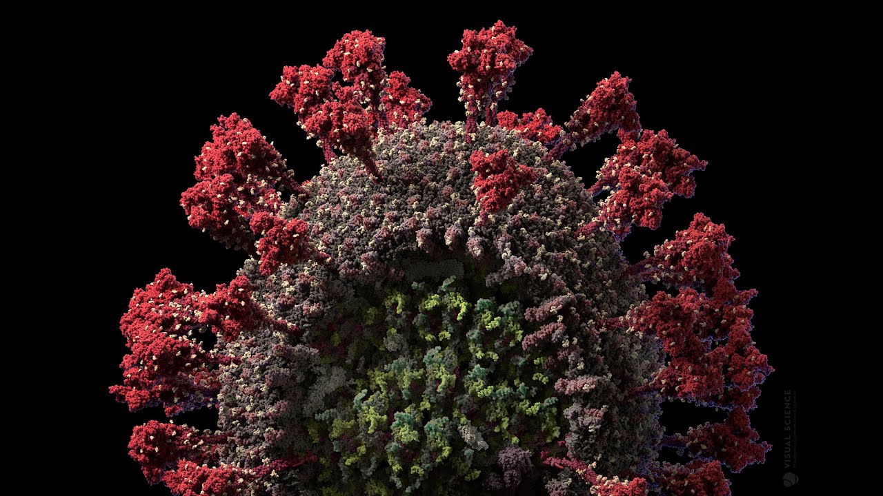 3D model of the SARS-CoV-2 virus at atomic resolution