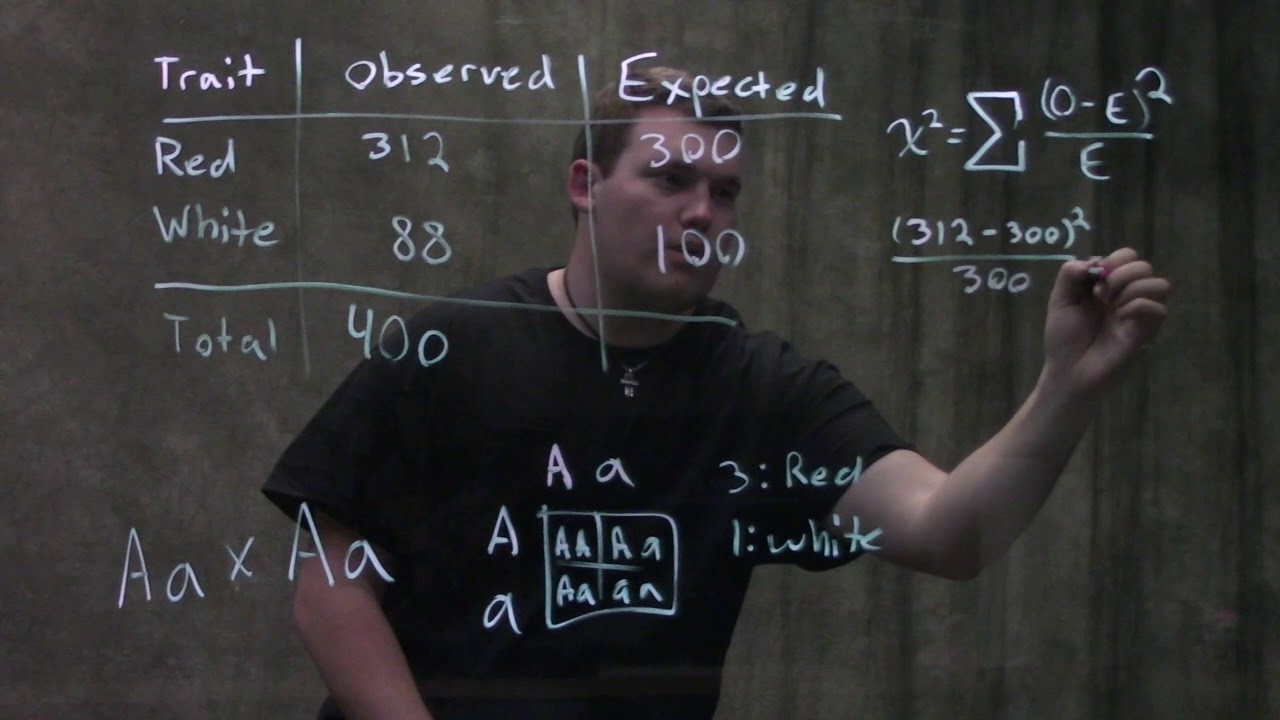 Генетика: критерий хи-квадрат