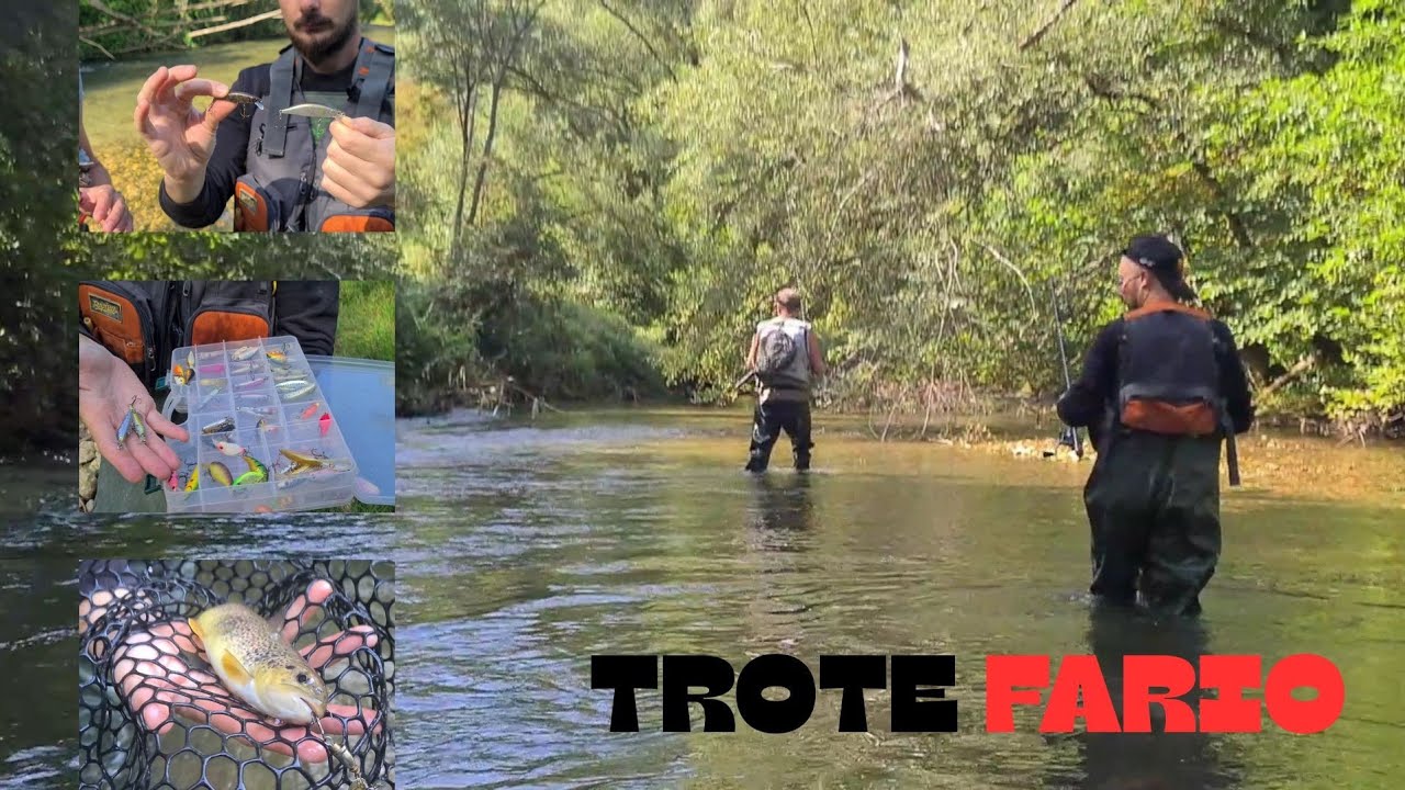 🔴⚫️ Le PERLE dell' ANIENE 🐟 MONDO ARTIFICIALE ep.2 