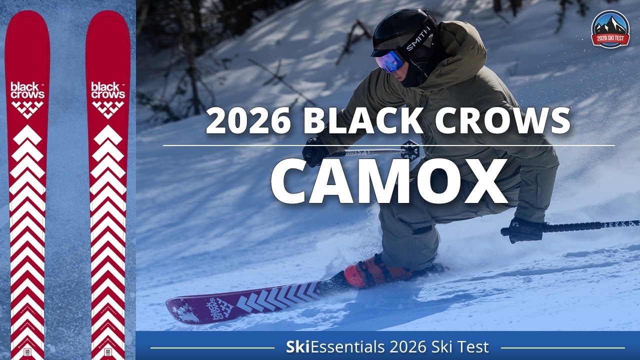Black Crows Camox 2026 года — обзор лыж SkiEssentials
