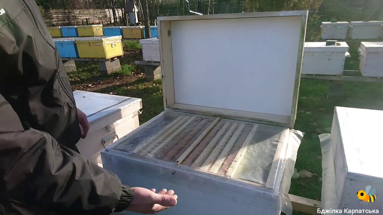 Заставні під сітчасте дно🐝❄️
