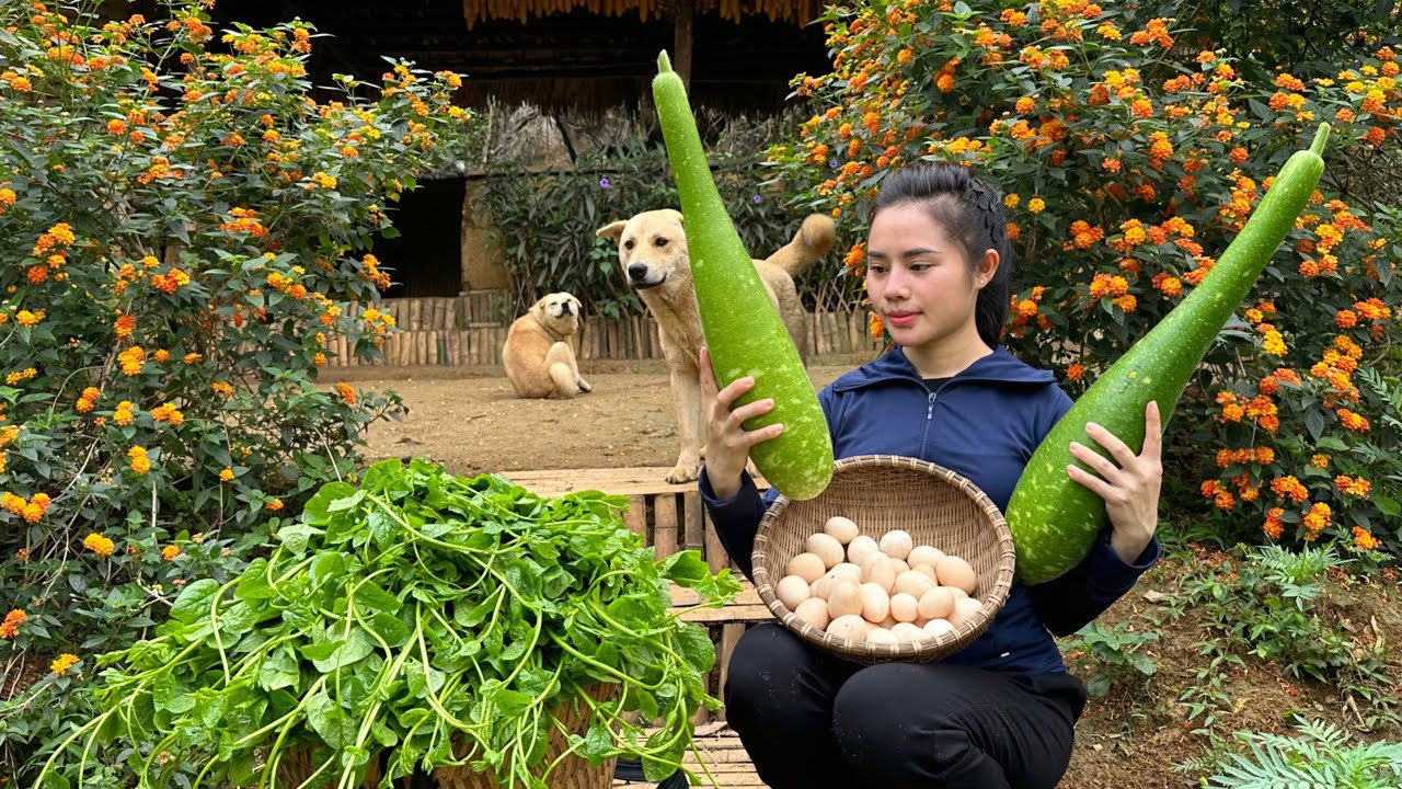 FULL VIDEO: 150 Days of harvesting tomatoes, eggplants, eggs, and fruits to sell at the market