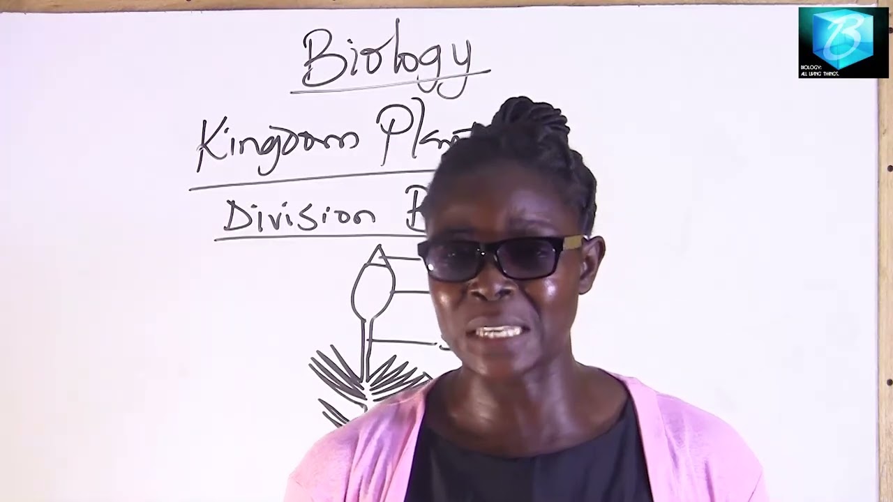 KINGDOM PLANTAE WITH OYEWOLE F.E