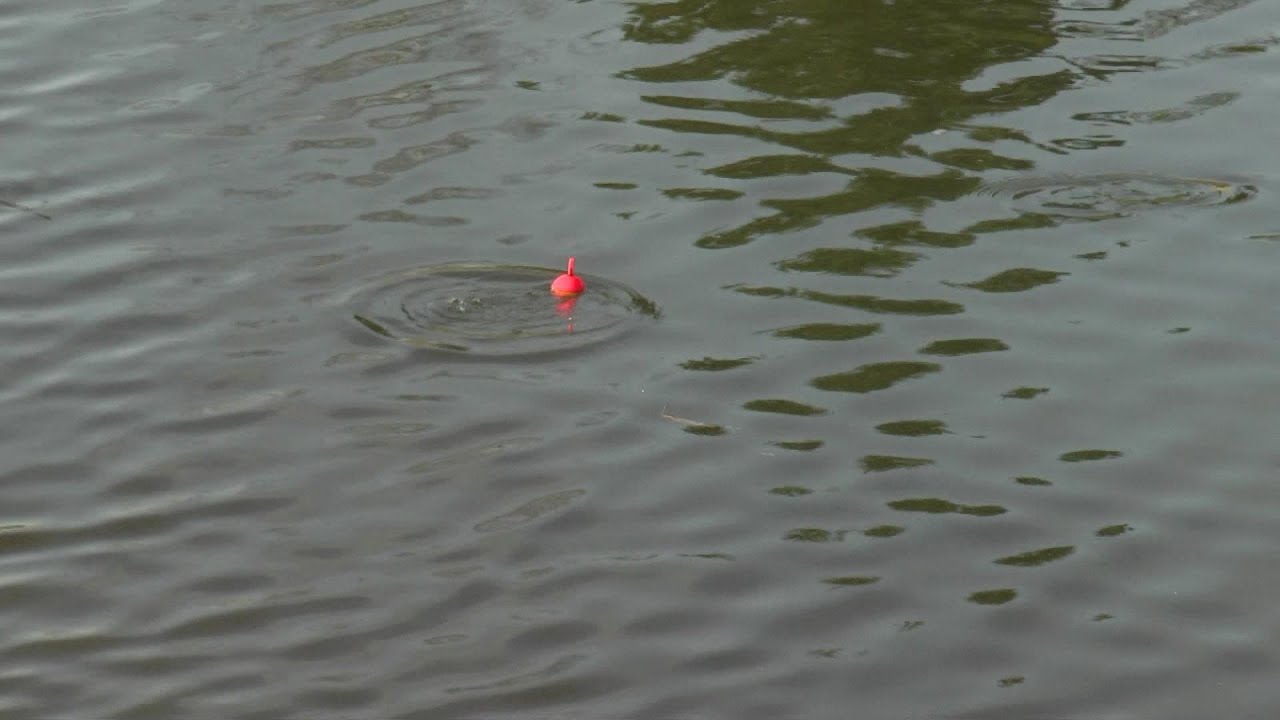 Prachtige snoek aanbeten
