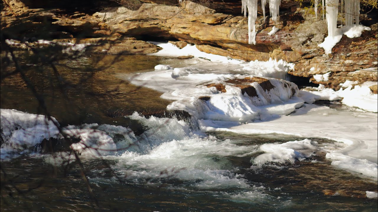 Taking photos at Adrua state park, West Virginia! Results at the end