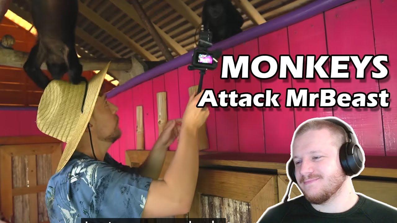 Bad Malex React To MrBeast $1 vs $250,000,000 Private Island!