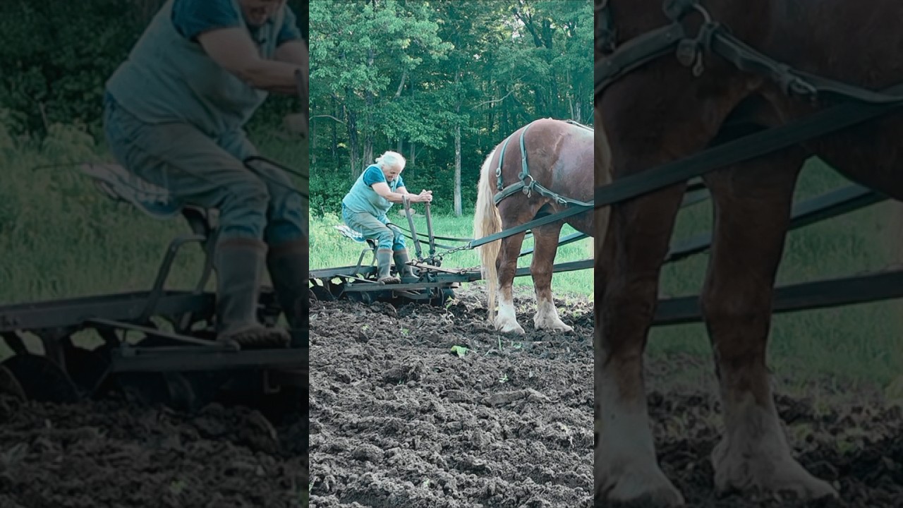 70-year-old farms with no modern machinery