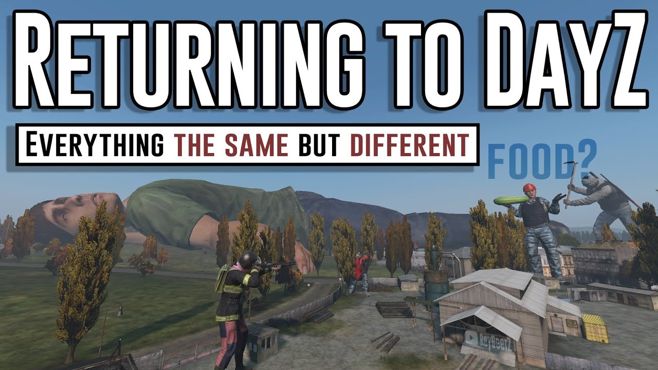 Returning to DayZ be like