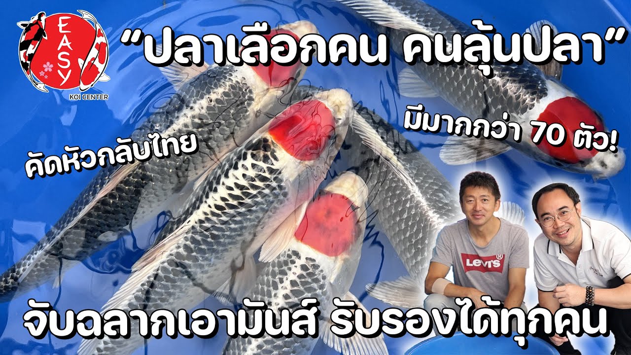 ย่องคัดหัว 