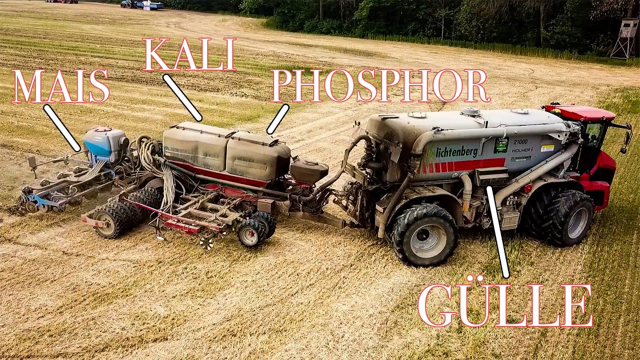 Maisaussaat mit Holmer Terra Variant 650+ Horsch Focus 6 TD+ Lemken Azurit 9 Striptill, Direktsaat