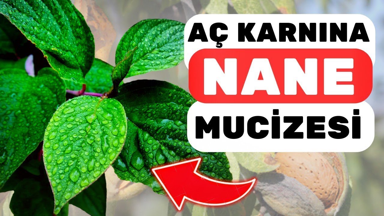 Akşamları 1 Adet Nane Vücudunuza Bunları Yapıyor | Nanenin Faydaları Nelerdir?