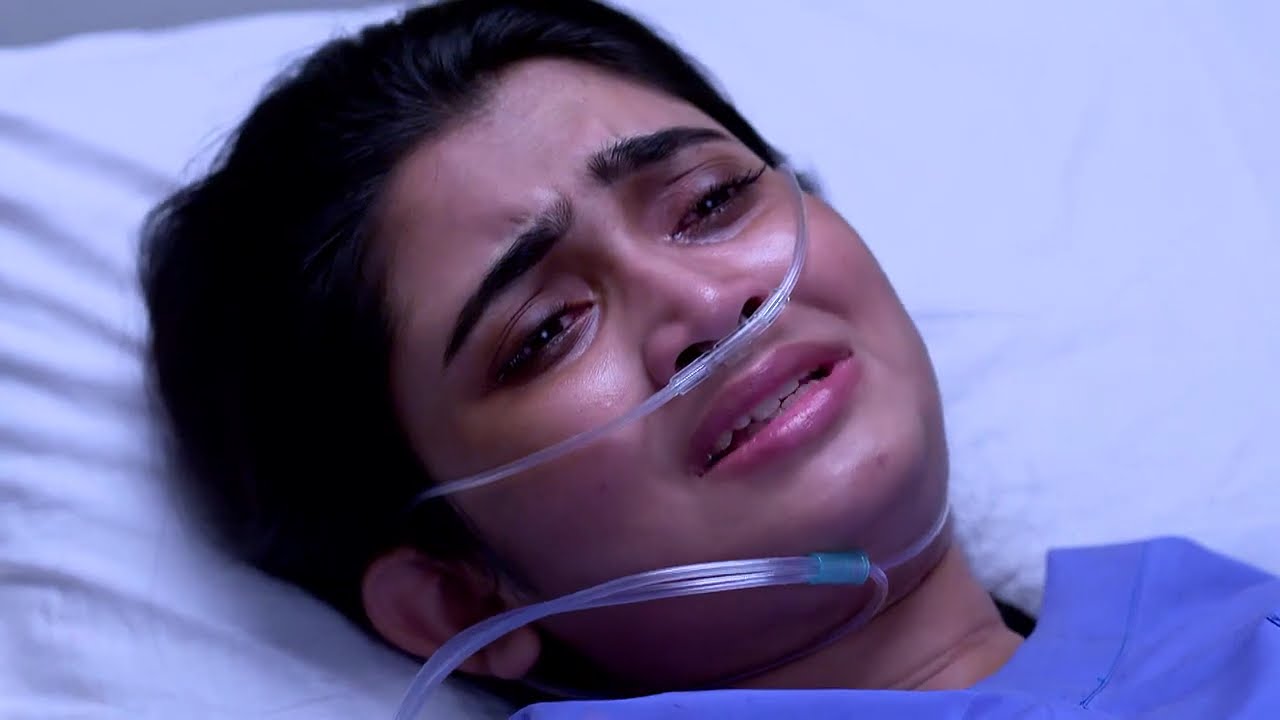 Jagadhatri - Full Ep - 817 - jagadhatri, shayambhu, utsav, kakon,  - Zee Bangla
