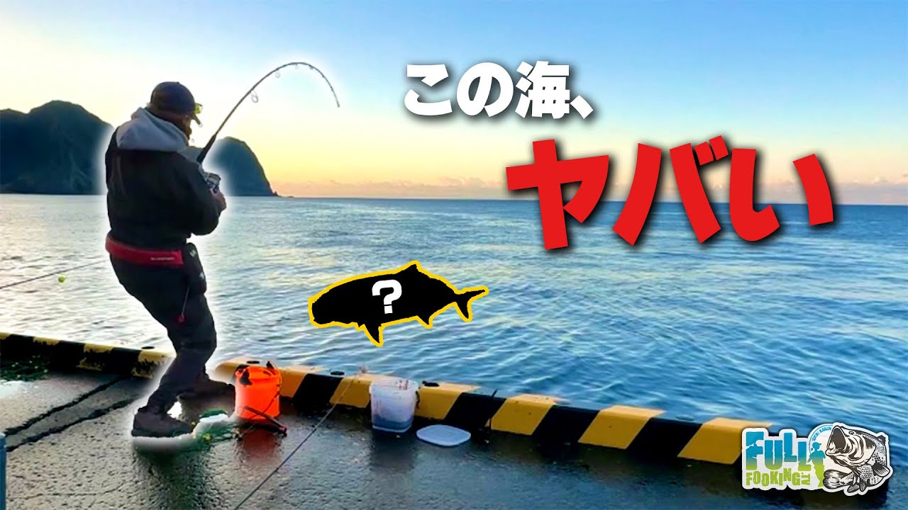 【八丈島#2】アジを泳がせて急に始まるファイトが強烈だった・・・