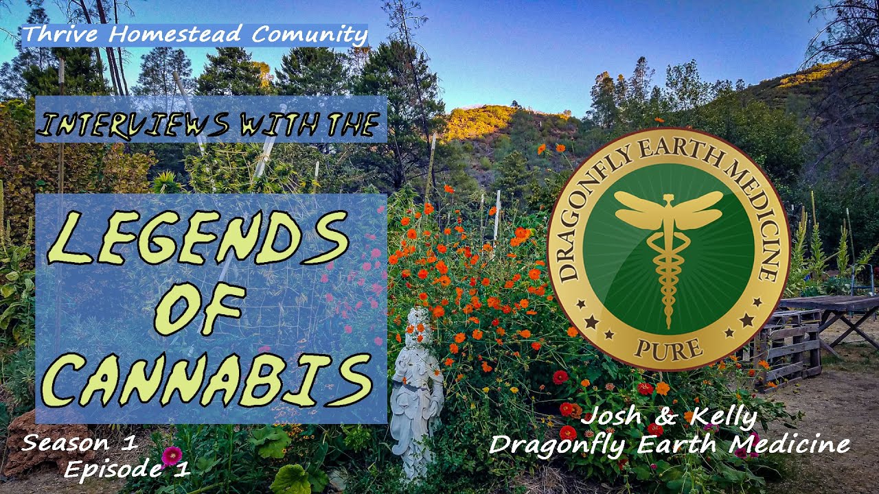 Interviews with the Legends of Cannabis: DragonFly Earth Medicine  ~ 🌱  Season 1 - Ep1