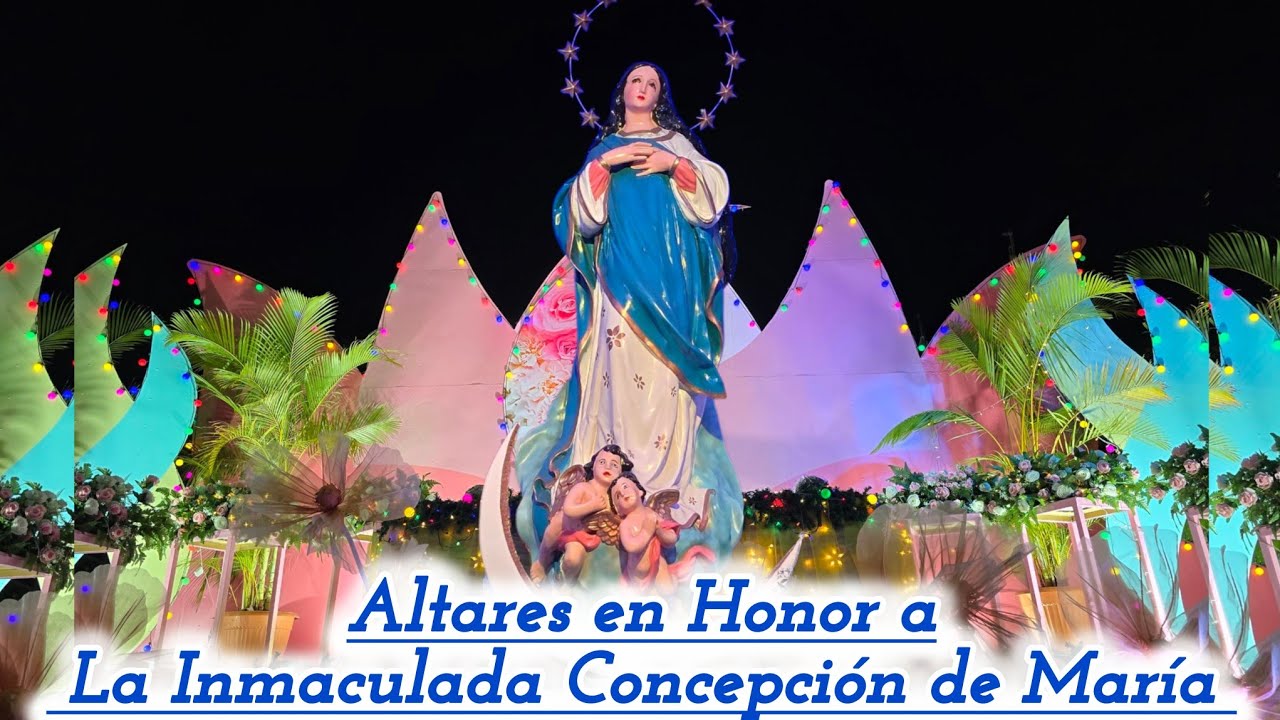 #Managua 🌲 As&iacute; se ven LOS ALTARES EN HONOR A LA PUR&Iacute;SIMA en esta Navidad #2025 #Nicaragua #travel 