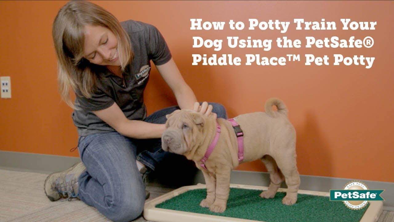 How to Potty Train Your Pet to Use the Piddle Place&trade; Portable Pet Potty