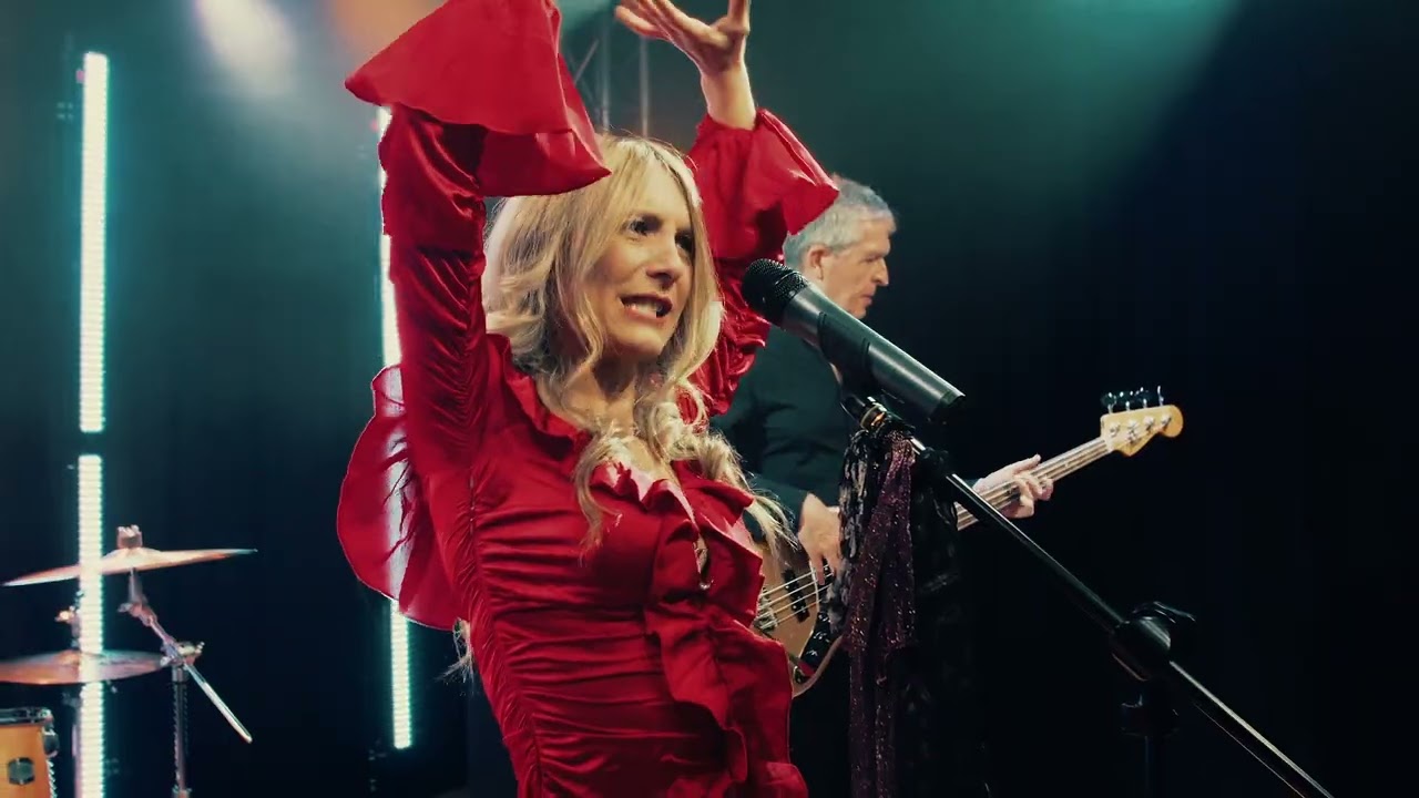 Stevie Nicks highlight reel