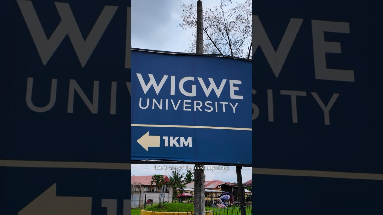 The Best University in Nigeria #university #wigwe #nigeria