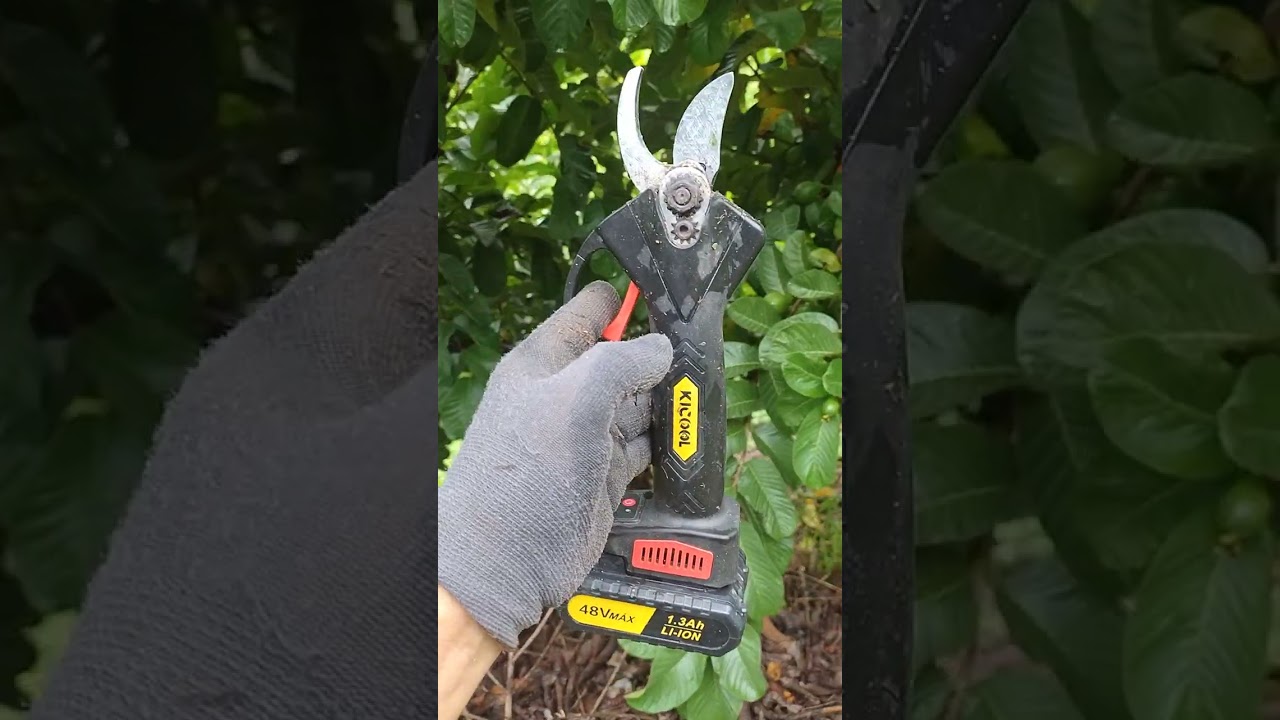 Tesoura de poda elétrica barata, vale a pena?