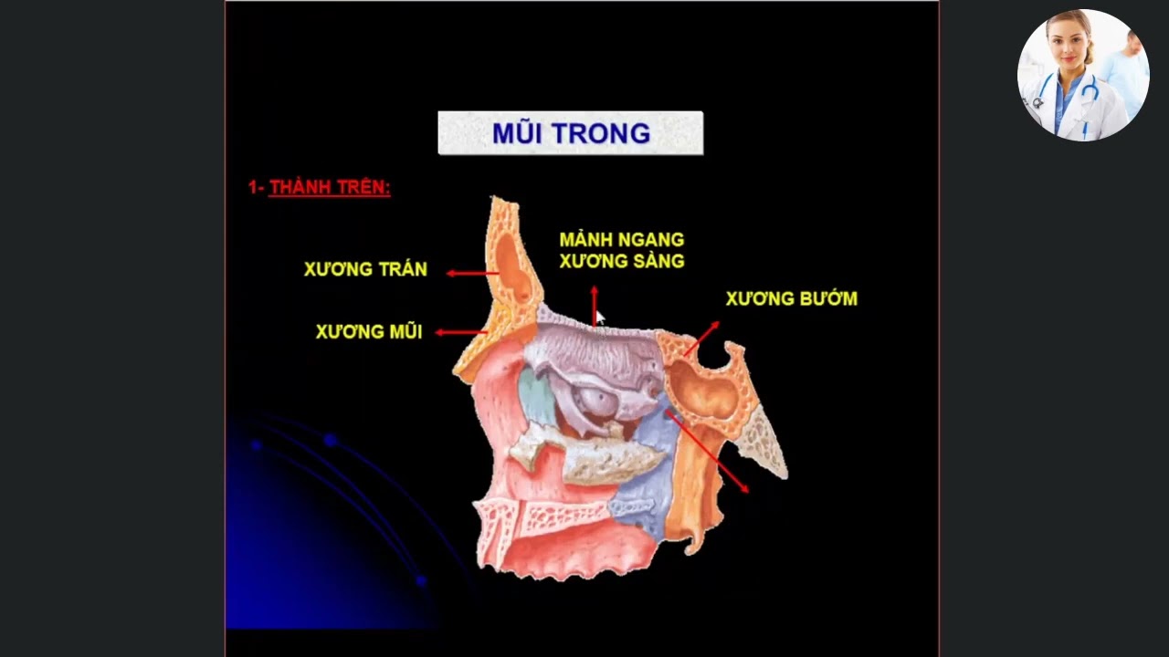 MŨI - HẦU - THANH QUẢN