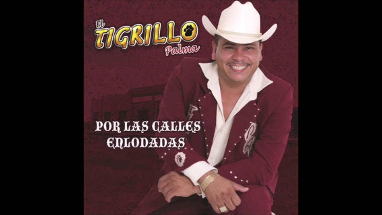 tigrillo palma   calles enlodadas
