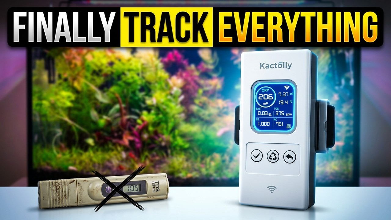 Saltwater or Freshwater? This Monitor Does Both Perfectly