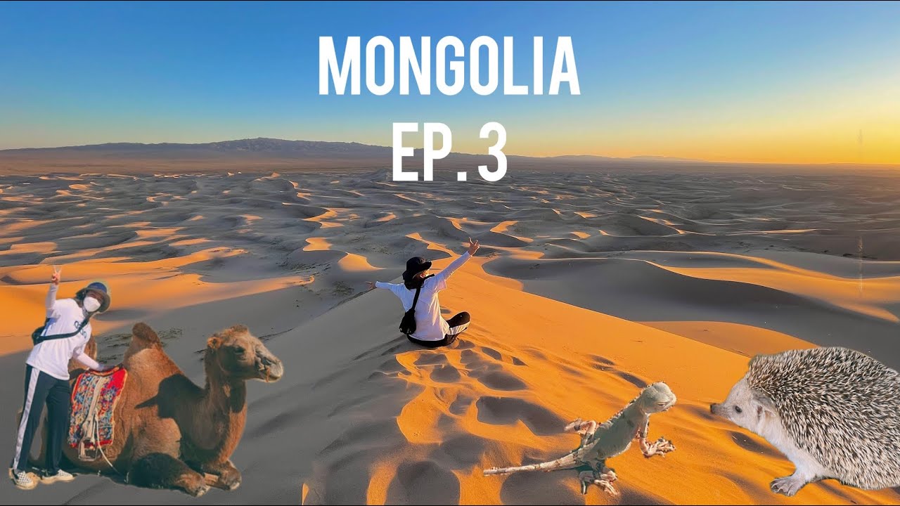 [🇲🇳몽골 EP.3] Day3,4 / 바양작 / 고비사막 / 홍고린엘스 / 은하수 / 데일리 몽골리아 / 게르 / 무비자 무격리 해외 여행 /7월 몽골여행
