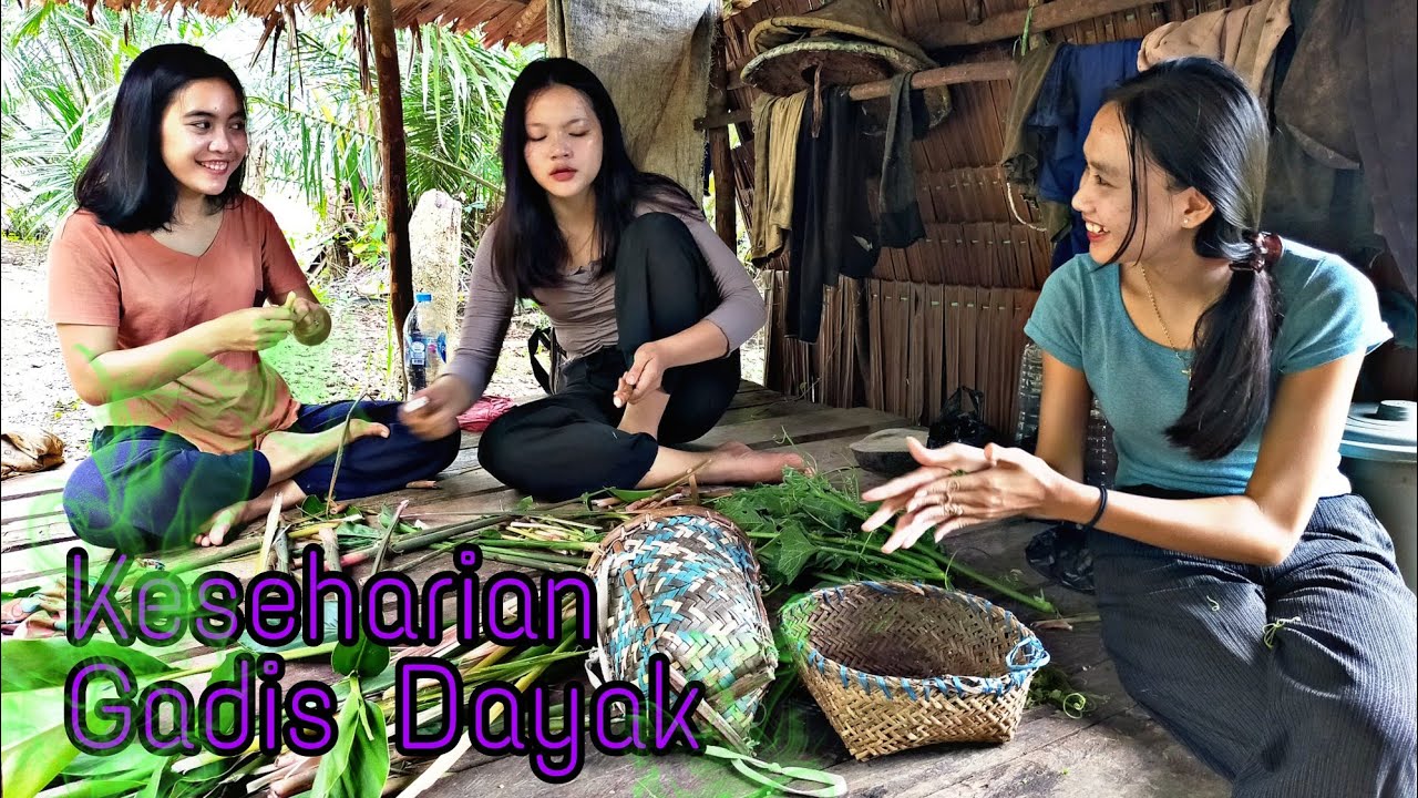 Gadis Dayak || Aktivitas sehari hari Gadis Desa Suku Dayak di Pondok Sawah