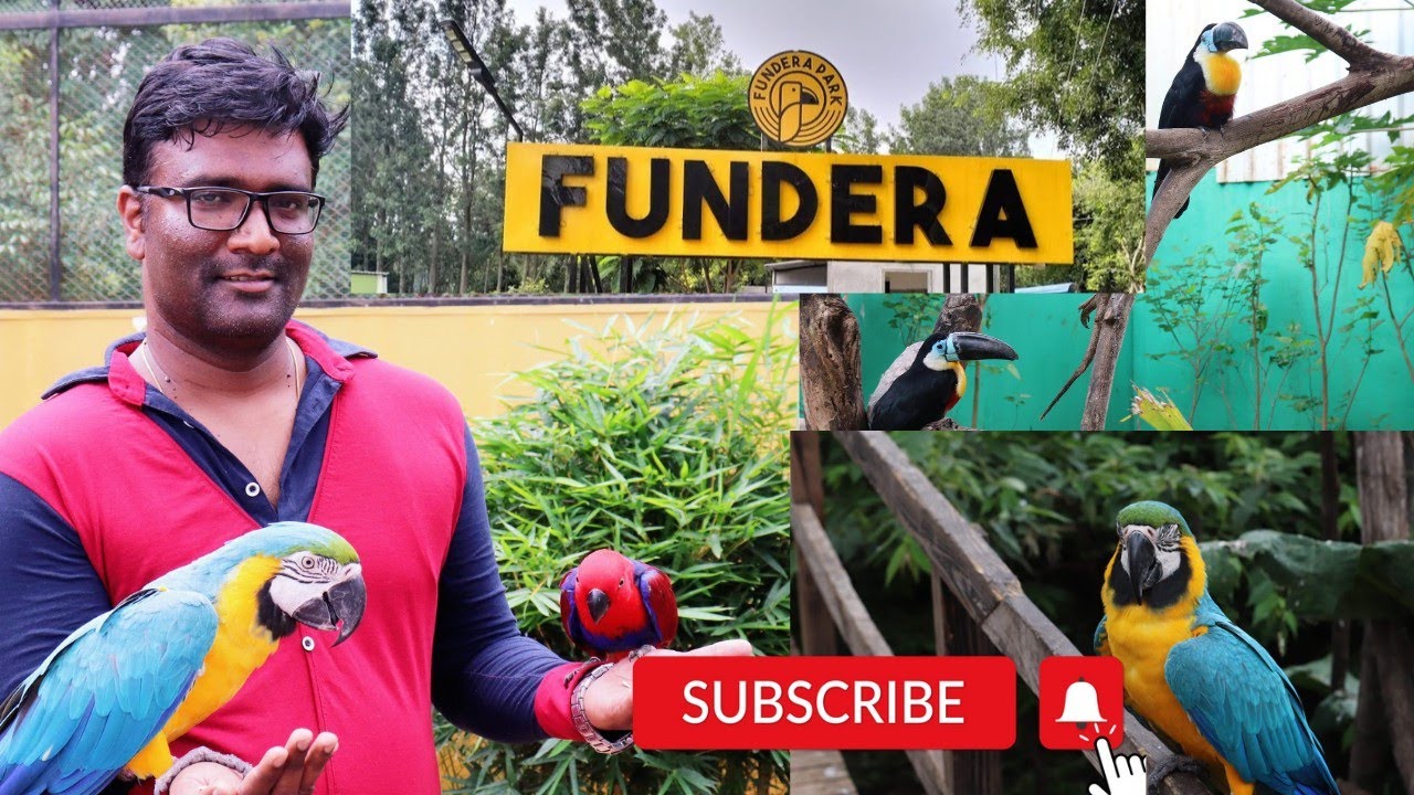 FUNDERA PARK | Birds Park at Yelagiri, TamilNadu | Places to visit in Yelagiri