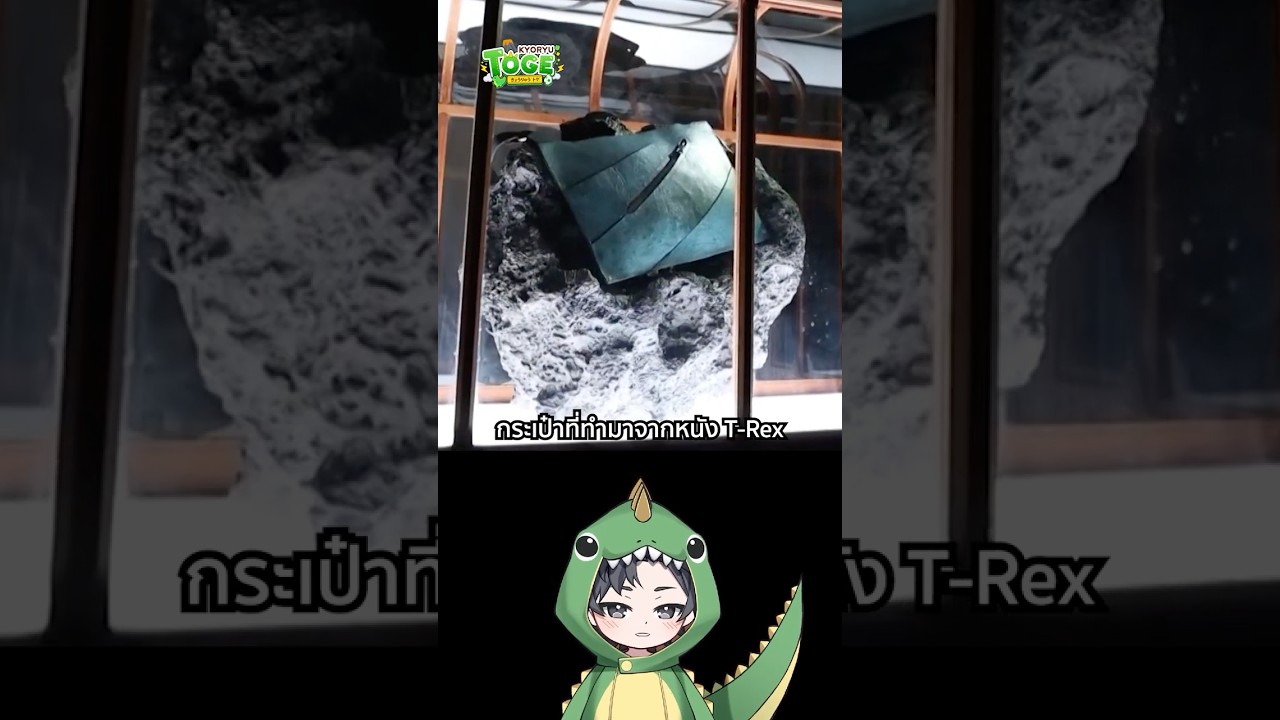 กระเป๋าหนัง T-Rex | TOGE トゲ