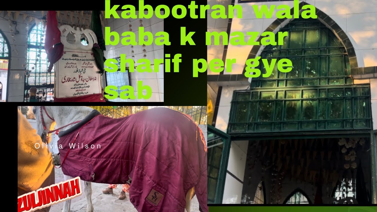 اگلے دن گئے ھم کبوتراں والے بابا کے مزار شریف پہ